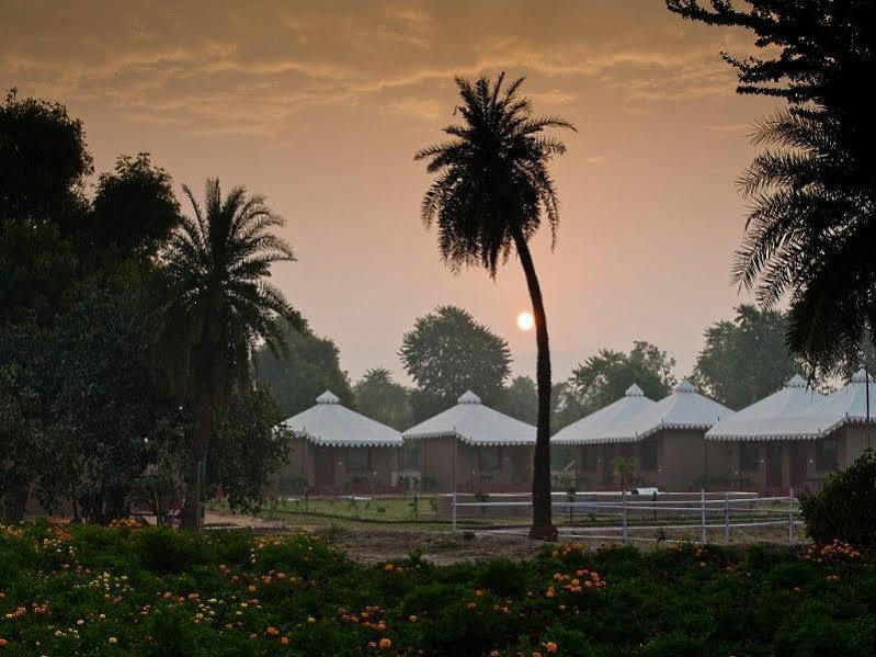 Lohana Village Resort Pushkar Eksteriør bilde